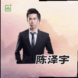 陈泽宇